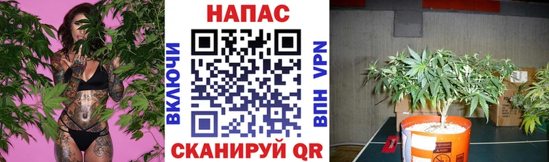 Кокаин Красавино