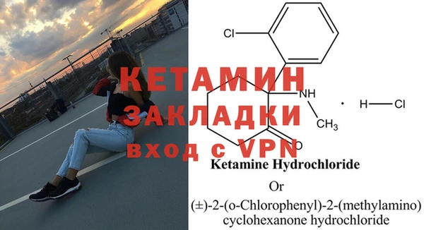стафф Новодвинск