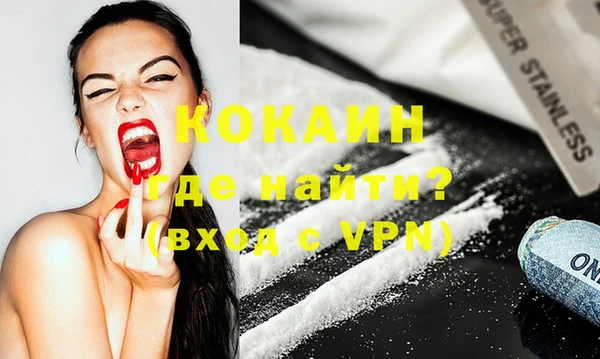 стафф Новодвинск