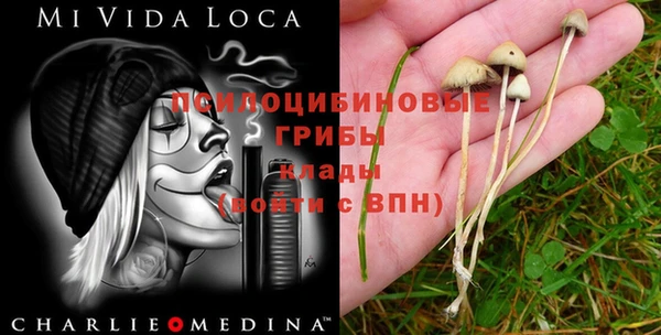 мяу мяу кристалл Новокубанск