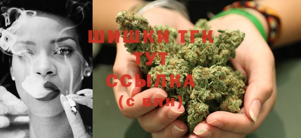 стафф Новодвинск